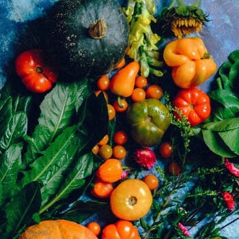 Top view of different kinds of vegetables