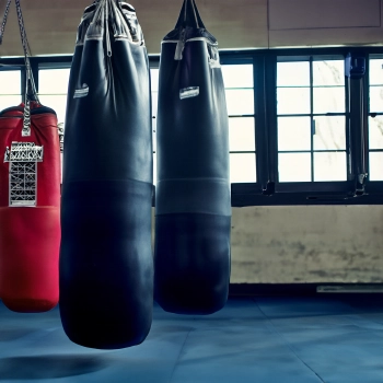 Sand punching bags in a gym