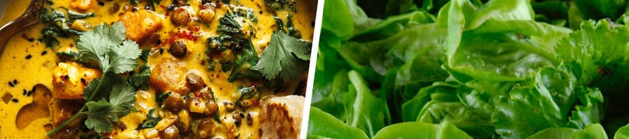 bowl filled with curry meal, close up image of leafy salad