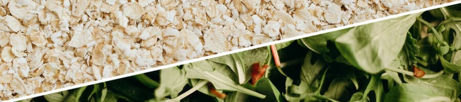 close up shot of oatmeal grains and green leaves