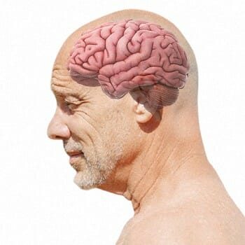 A side view of a person and a see through brain
