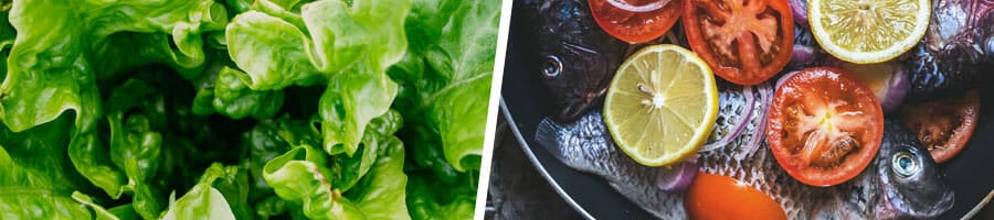 stack of lettuce, and a freshly cooked tilapia