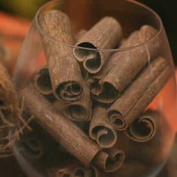 fresh cinnamon in a glass jar