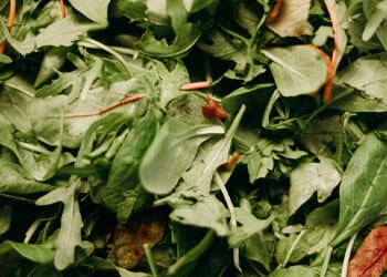 close up image of spinach leaves