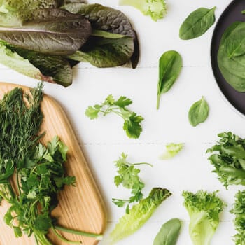 different types of vegetables on plates