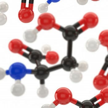 vector image of amino acids