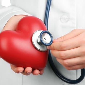 toy heart held by a doctor using a stethoscope on it