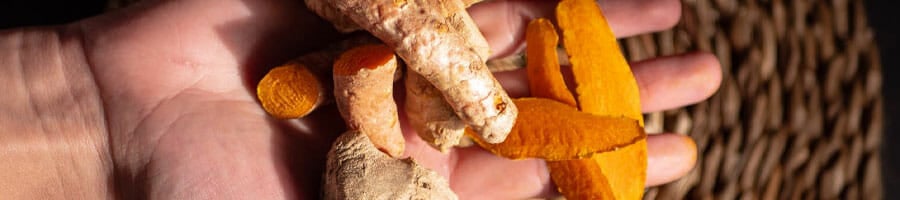 handful of fresh turmeric plant