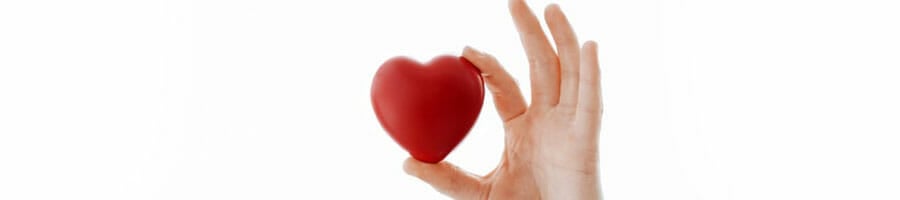 toy heart held by a person's hand