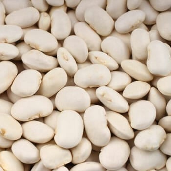 close up image of white kidney beans