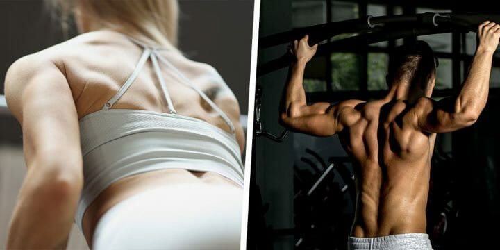 Your guide to back exercises and fat loss