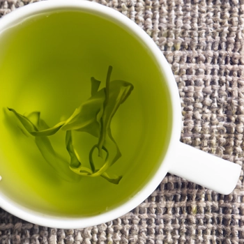 Holding a mug of green tea leaf extract