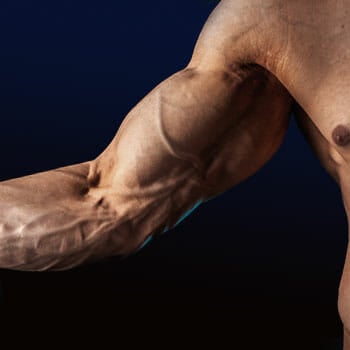 close up image of a man's veiny arms