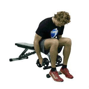 seated reverse fly