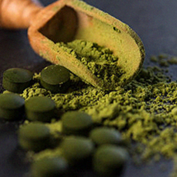 Chlorella powder