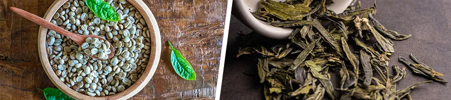 coffee green beans in a bowl and a lot of green herbal leaves