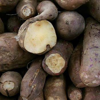 wild yam in stack