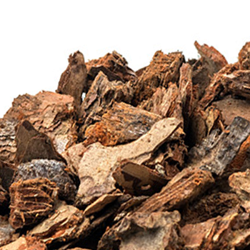 Pine Bark Extract plain background