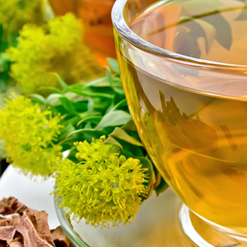 Rhodiola Rosea herbal tea