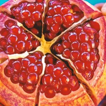 insides of a pomegranate