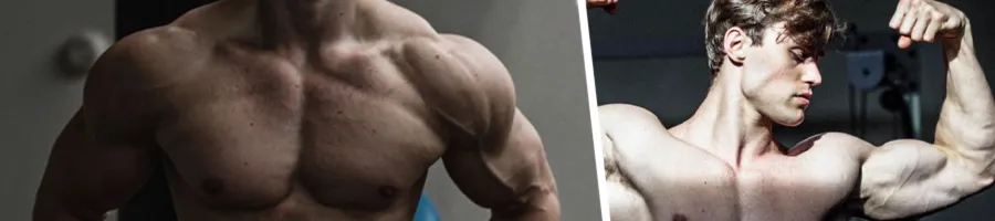 i realize david laid is not natty, but is his physique hypothetically natty  attainable? he doesn't seem to have a crazy amount of mass especially when  he's pictured with other people. 