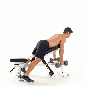 Dumbbell Chest-Supported Rows