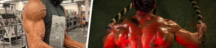 Jinder Mahal's arm and back muscles