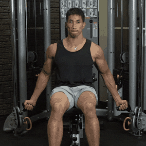 Seated Biceps Cable Curl