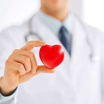 doctor holding up a heart