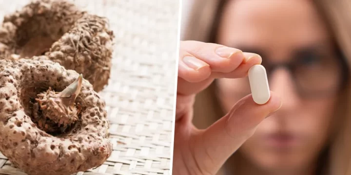 An organic ingredient and a woman holding a pill