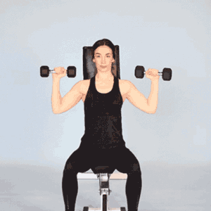 Seated Dumbbell Military Press