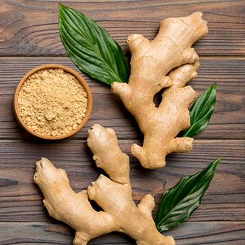 bowl of ginger powder and ginger plant