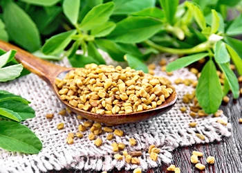 fenugreek in a spoon