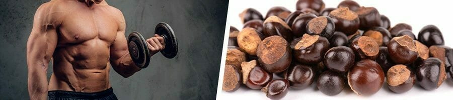 Man working out with a dumbbell and a stack guarana seeds