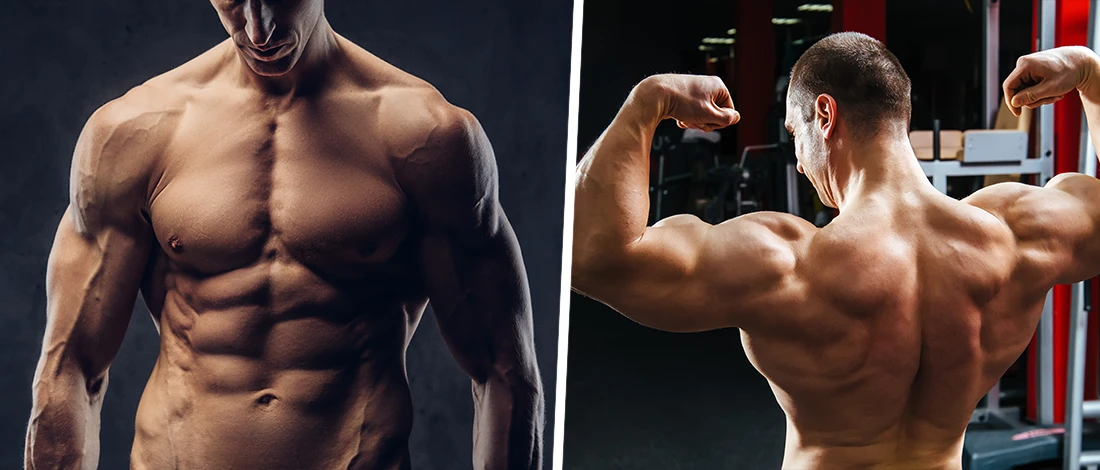 8 Chest and Back Workouts for a Perfect Upper Body