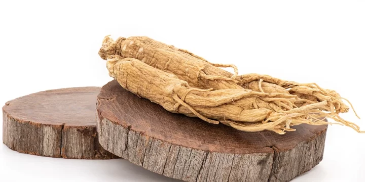 A Ginseng in isolated background