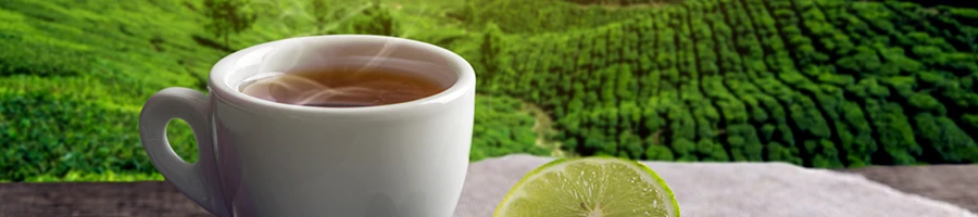 Isolated tea on table outdoors