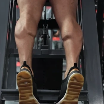 Calf Raises exercise