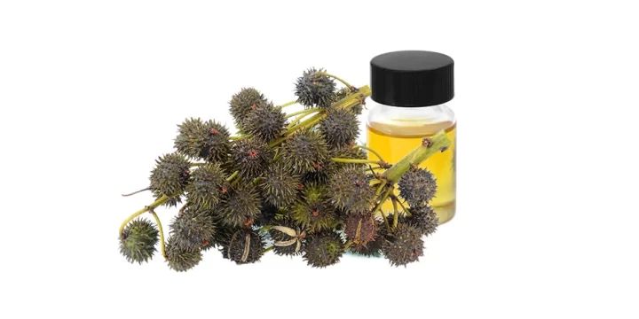 Castor oil in isolated background