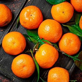 Top view of fresh oranges