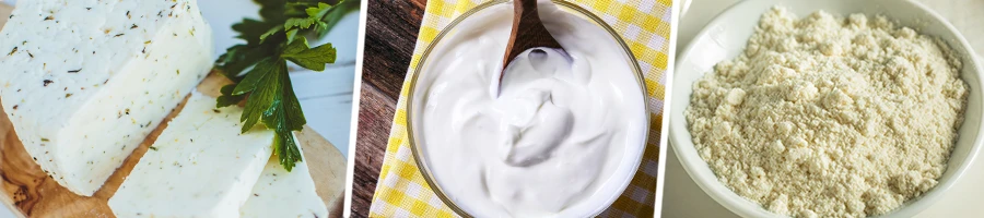 Yoghurt and Cottage Cheese