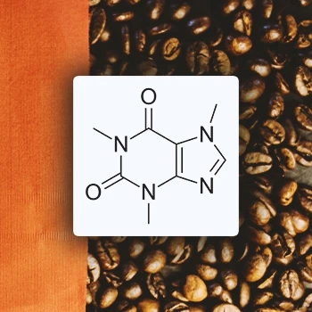 Coffee beans with the chemical caffeine graphic
