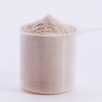 Close up shot of whey protein scoop