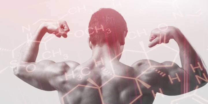 Muscular male with skeletal formula overlay