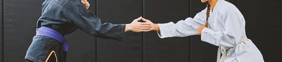 Martial artists shaking hands before fighting