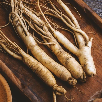 Close up shot of American ginseng