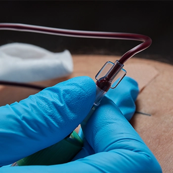 A doctor collecting blood from a person