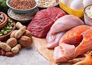 Healthy diet with protein rich and fat rich foods
