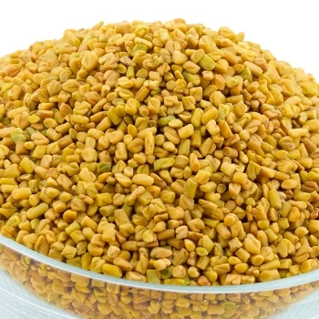 Fenugreek extract close up image in bowl