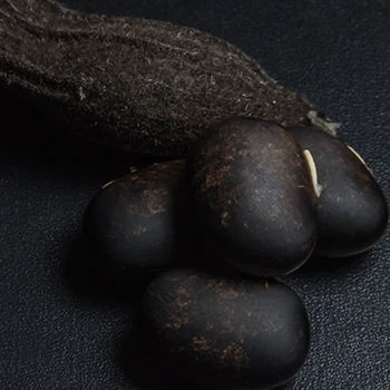 Mucuna Pruriens close up image